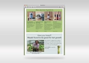 wasabi-news-emarketing-300x212 wasabi-news-emarketing